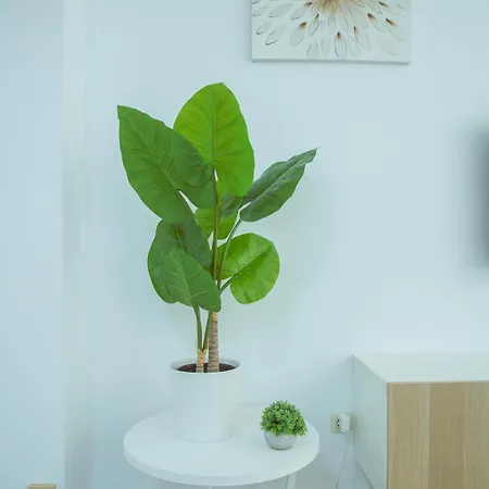 Apartment Sol & Mar Fuengirola